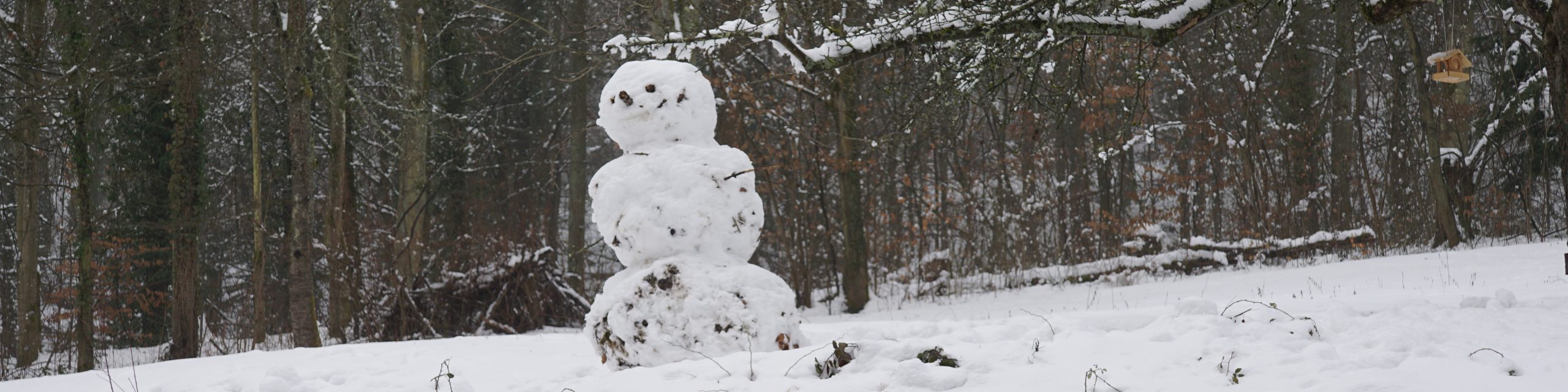 Schneemann im Schulgarten 2025